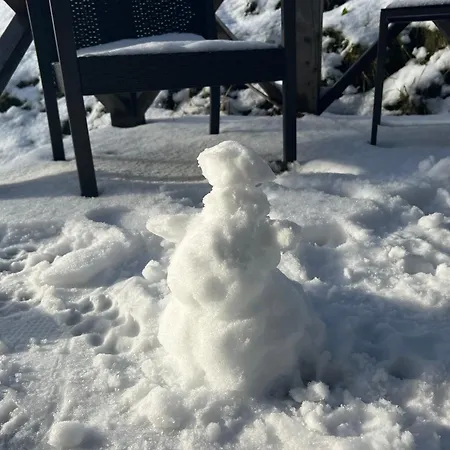 Pro Rodiny S Detmi - Permonik