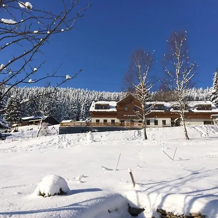 Lejlighed Pro Rodiny S Detmi - Permonik
