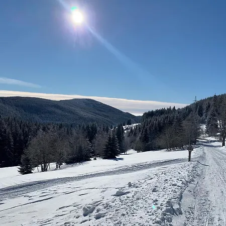 Pro Rodiny S Detmi - Permonik *
