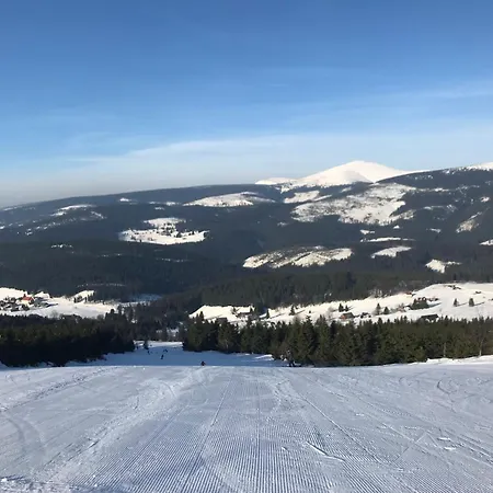 Pro Rodiny S Detmi - Permonik *