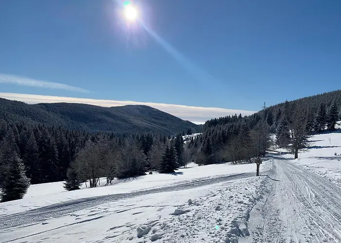 Pro Rodiny S Detmi - Permonik *